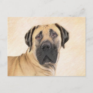 Boerboel Painting - Cute Original Dog Art Postcard