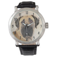 Boerboel Painting - Cute Original Dog Art