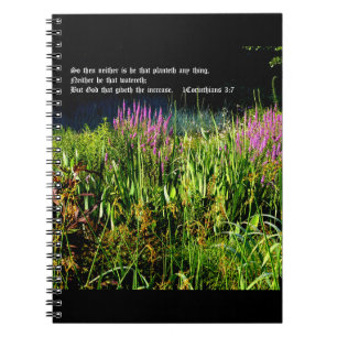 Bog Garden with 1 Corinthians 3:7 Notebook