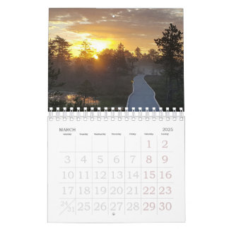 Bog Light Estonian Bogs Calendar