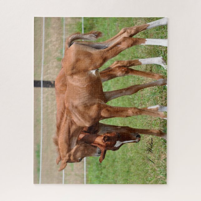 BOGO Babies Puzzle 1 (Vertical)