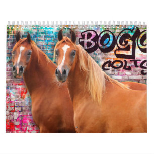 BOGO Colts 2 year old photos Calendar