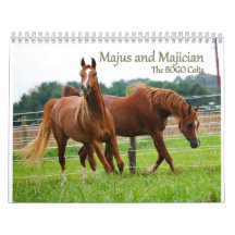 BOGO Colts Calendar 3 year old pics
