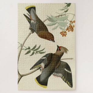 Bohemian Chatterer (Waxwing) Audubon Birds America Jigsaw Puzzle