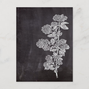 Bohemian Chic french country chalkboard botanical Postcard