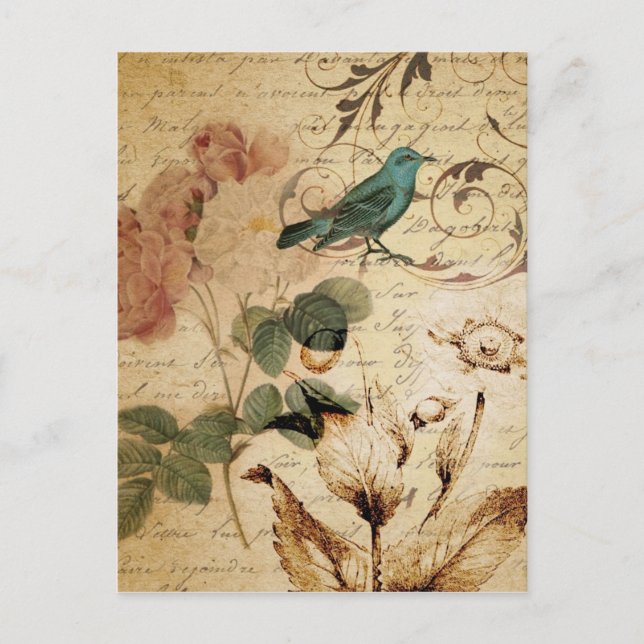 Bohemian chic  Paris Scripts bird french botanical Postcard (Front)