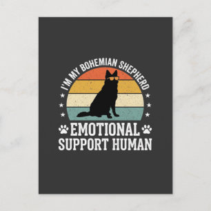 Bohemian Shepherd Emotional Support Human Dog Postcard
