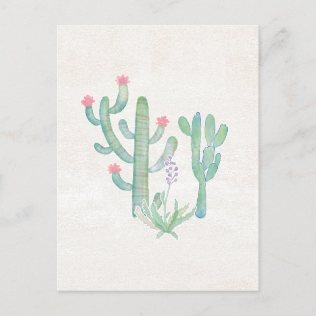 Bohemian Watercolor Cactus Postcard (Front)