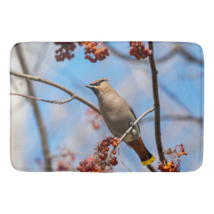 Bohemian Waxwing, Bird with Blue Background Bath Mat