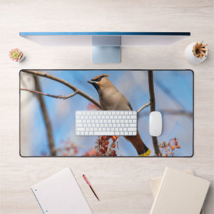 Bohemian Waxwing, Canadian Avian Photography Desk Mat