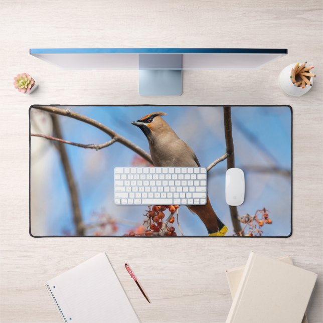 Bohemian Waxwing, Canadian Avian Photography Desk Mat (Office 1)