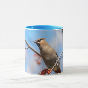 Bohemian Waxwing - Canadian Wildlife - Photograph Mug
