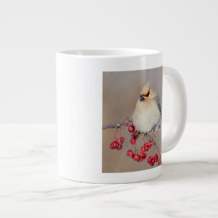 Bohemian waxwing in winter, Canada Large Coffee Mug