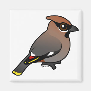Bohemian Waxwing Magnet