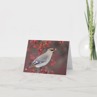 Bohemian Waxwing Notecards