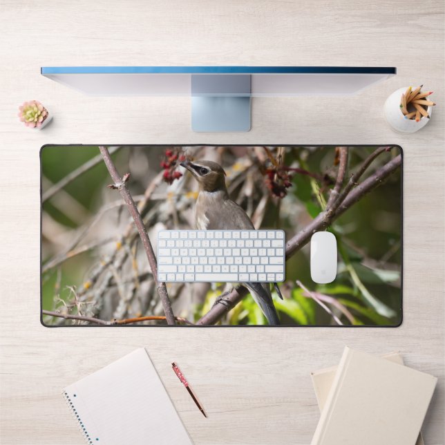 Bohemian Waxwing, Resting On a Branch Desk Mat (Office 1)
