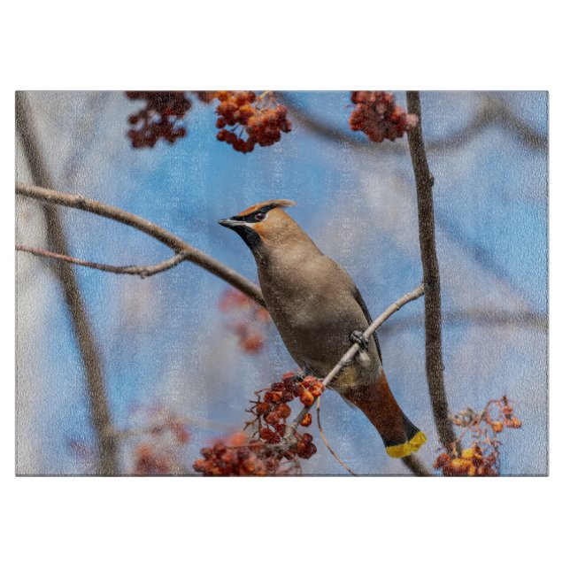 Bohemian Waxwing, Wildlife Avian Photography Cutting Board (Front)