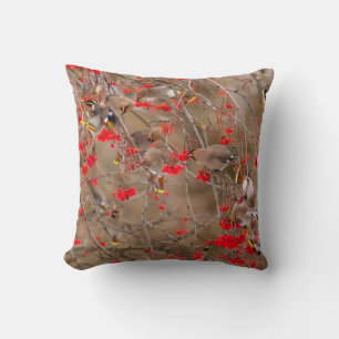 Bohemian Waxwings Feeding On Mountain Ash Cushion