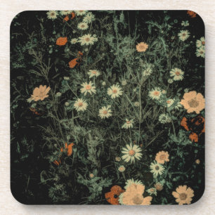bohemian white daisy wildflower black floral coaster