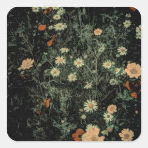 bohemian white daisy wildflower black floral square sticker