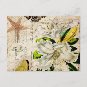 bohmeian french botanical art butterfly white lily postcard