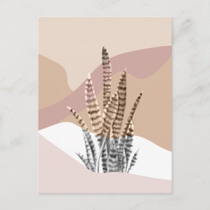 Boho Abstract Modern Succulent Postcard
