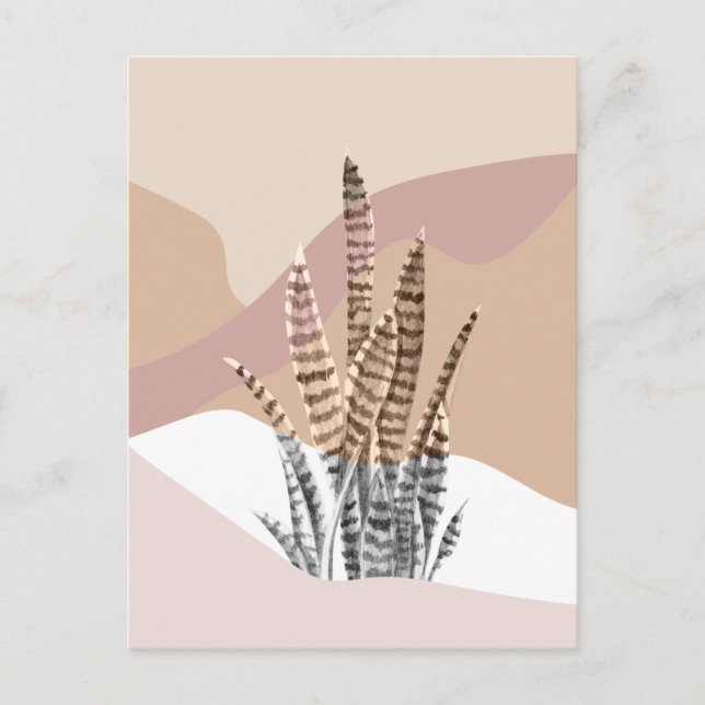 Boho Abstract Modern Succulent Postcard (Front)