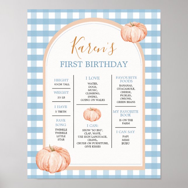 Boho Blue Gingham 1st Year Fact Sign Birthday (Front)