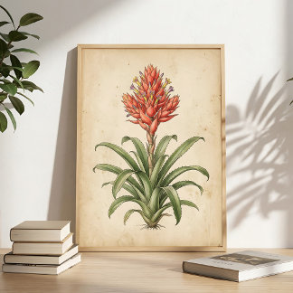Boho Bromeliad Flower Art - Canvas Print or Frame