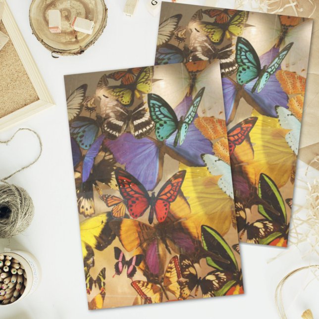 boho burgundy orange colourful tropical butterfly tissue paper (boho burgundy orange colorful tropical butterfly tissue paper)