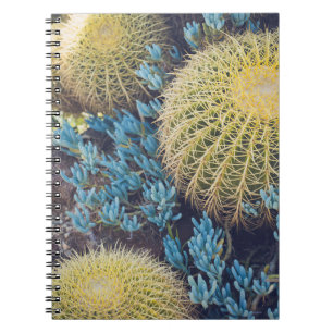 Boho Cactus Garden Notebook