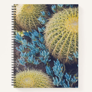 Boho Cactus Garden Notebook