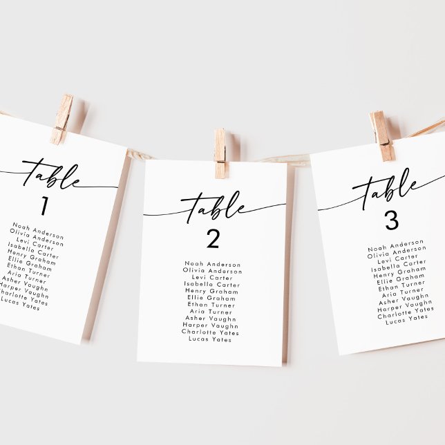 Boho Chic Black and White Hanging Seating Chart Invitation (Creator Uploaded)