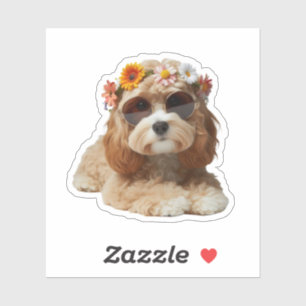 Boho Chic Cavapoo Cavadoodle