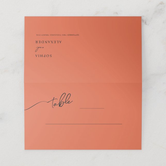 Boho-chic wedding Place & Escort Cards (Outside Unfolded)