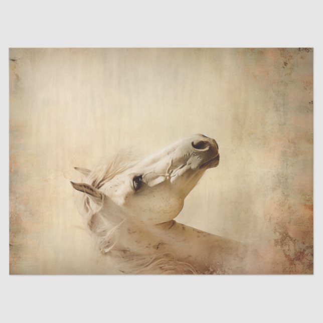 Boho Elegant White Horse Decoupage Tissue Paper (Front)