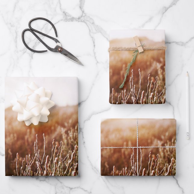 Boho Grass Field Photo Gift Wrapping Paper Sheet (Front)