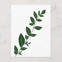 Boho Green plant