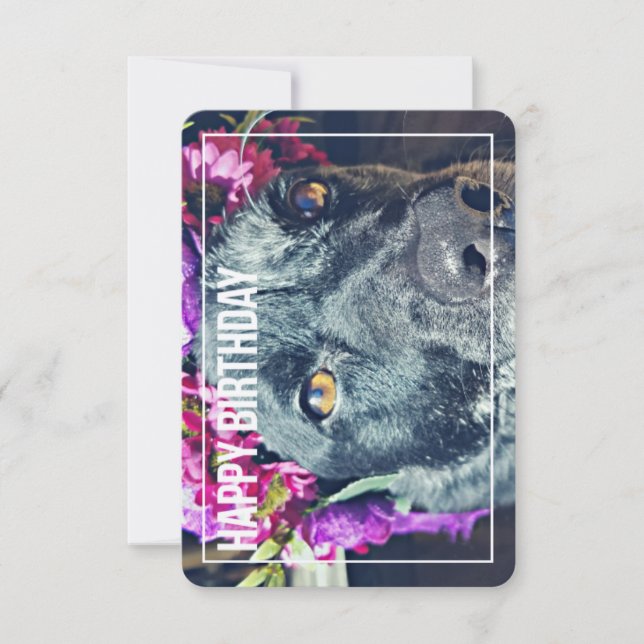 Boho Heeler Birthday Card (Front)