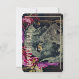 Boho Heeler Birthday Card