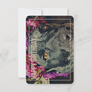 Boho Heeler Birthday Card