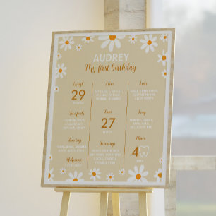 Boho Light Daisy 1st Birthday Party Milestone Sign