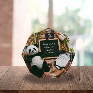 Boho Neutral Panda Pregnancy Announcement keepsake Photo Block