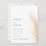 Boho pampas grass save the date minimalist  invitation<br><div class="desc">minimalist pampas grass save the date wedding Invitation</div>