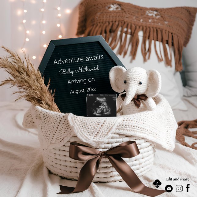 Boho pampas neutral pregnancy announcement  (Creator Uploaded)