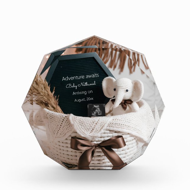 Boho pampas neutral pregnancy announcement  photo block (Front)