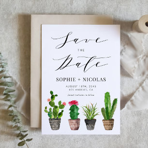 Boho Potted Succulents and Cactus Summer Save The Date