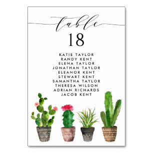 Boho Potted Succulents and Cactus Wedding Seating Table Number