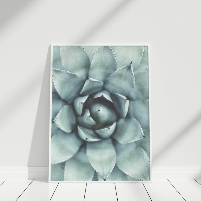 Boho Sage Green Succulent Closeup Poster (Pastel Green Succulent Closeup Poster in white frame on white wooden floor.)