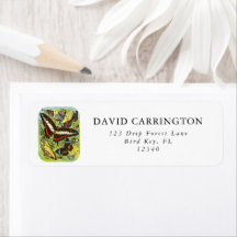 Boho Vintage Colourful Butterflies Collection